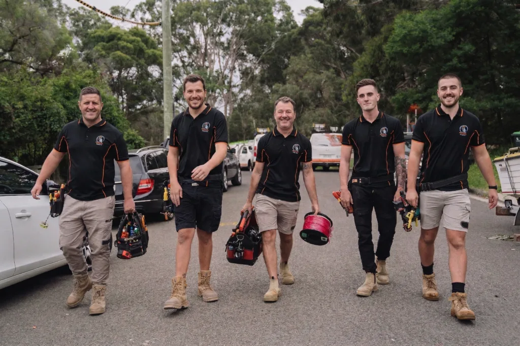 Professional electrical services in Chifley